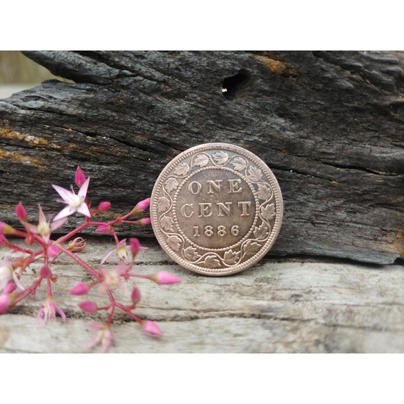 Antique 1886 Canada One Cent Coin, Vintage Queen Victoria Canadian Penny - Picture 1 of 10